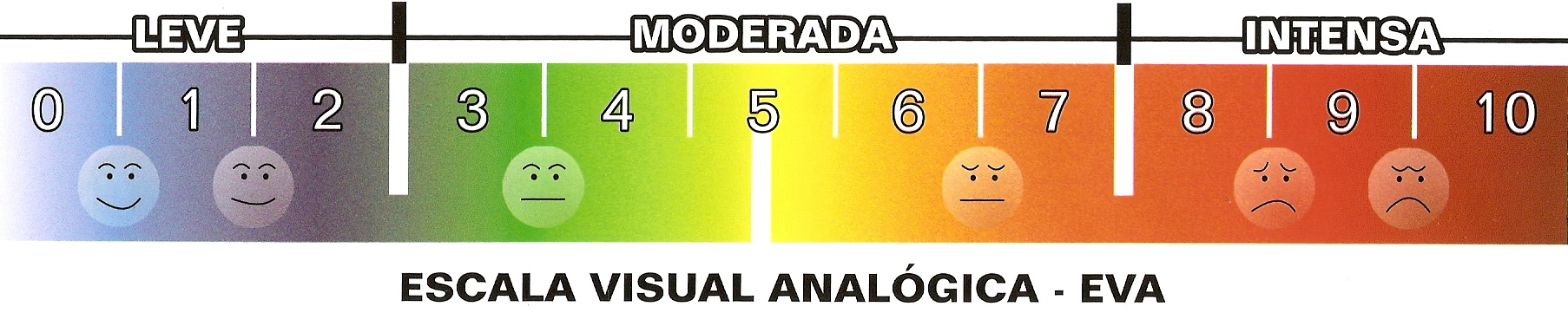 Analog scale